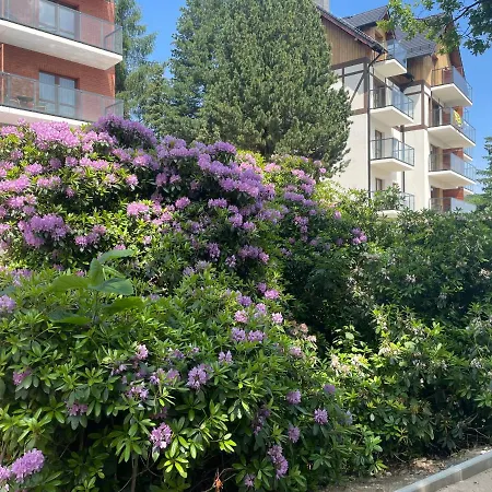 N&b Appartement *