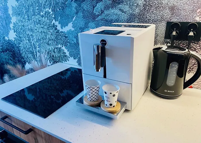 N&b * 斯克拉斯卡波伦巴